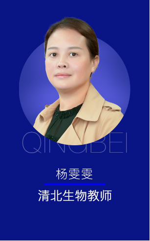 清北教育师资团队