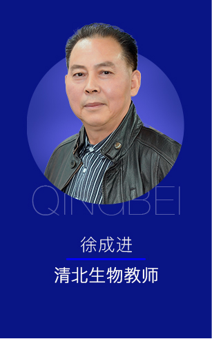 清北教育师资团队